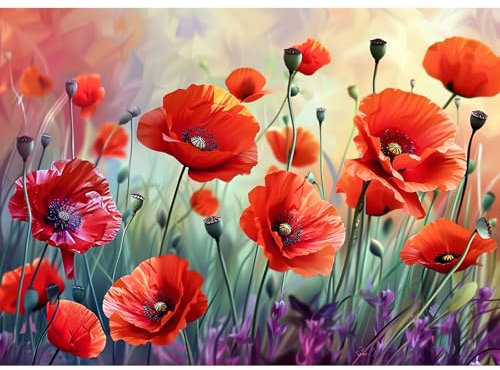 CEOVR Diamond Painting Kits Erwachsene,Mohnblume Diamant Painting,Blumen Diamond Painting Bilder,30x40 cm Diamond-painting Set,Diamond Painting Erwachsene,Wunderschöne Blumen