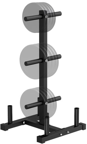 Weight Plate Rack for Home Gym - 6 Post Olympic Plate Holder with Wide Stability Base, Barbell Storage & Bumper Plate Tree Organizer, Heavy Duty Space Saving Gym Equipment