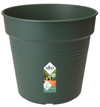 Elho Green Basics Growpot 13 - Macetero por Interior y Exterior cultívalo tú Mismo - Ø 13.1 x H 12.0 cm - Verde/Leaf Green