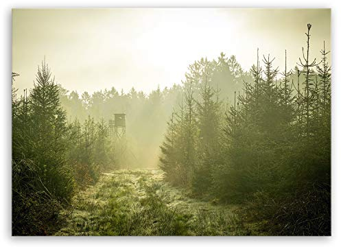 ge Bildet® 3102 Impression sur Toile de Motif forêt dans des Mines en Bois, Coton, 70 x 50 cm