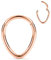 16G Hinged Tear Drop Nasenring Roségold Septum Clicker Ring Daith Ohrringe Chirurgischer Stahl Daith Turm Tragus Piercing Schmuck Kleiner Creolenring