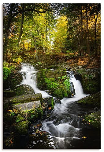 ARTLAND Wanddeko Leinwand Bilder Wandbild 40x60 cm Natur Wald Bäume Farn Moos Bach Wasserfall Harz U4PG