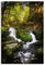 ARTLAND Wanddeko Leinwand Bilder Wandbild 40x60 cm Natur Wald Bäume Farn Moos Bach Wasserfall Harz U4PG