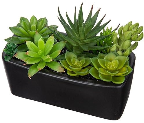 Briful Plantes succulentes artificielles dans un pot en céramique noire - Mélange de plantes grasses artificielles en pot pour bureau, maison, salle de bain - Décoration d'étagère