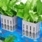 Borlech Aquarium Pflanzenhalter für Aquarium Aquaponic Pflanzenkultur Hängender Halterung und Aquascape Dekorationen Pflanztopf Zubehör (Grau)
