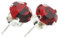 pewterhooter London Collection Women's 925 Sterling Silver Crystal Stud Earrings (Light Siam)