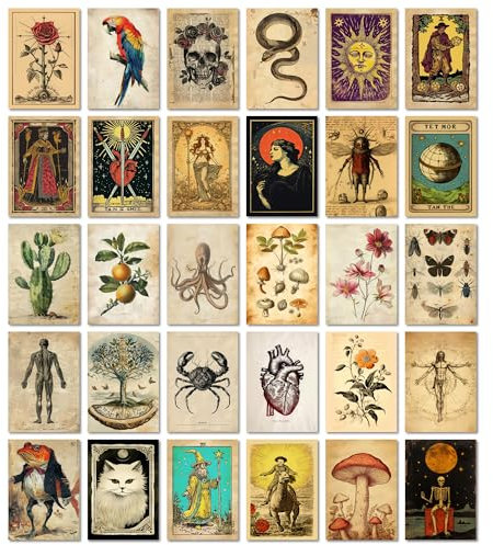 ARTFAVES® Postkarten Set - Vintage Tarot II - 30 verschiedene Postkarten mit Illustrationen von Tieren, Pflanzen, Anatomie, Botanik, mystisch DIN A6
