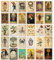 ARTFAVES® Postkarten Set - Vintage Tarot II - 30 verschiedene Postkarten mit Illustrationen von Tieren, Pflanzen, Anatomie, Botanik, mystisch DIN A6