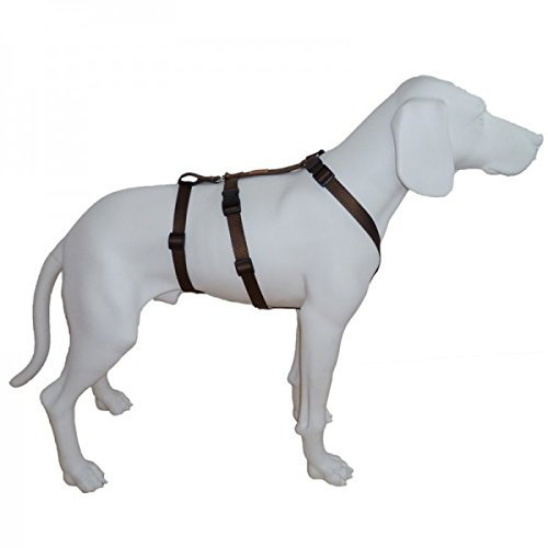 Hoffmann Das Original - NoExit Hundegeschirr ® - 100% ausbruchsicher für Angsthunde, Unifarben Braun, Bauchumfang 30-40 cm, Sicherheitsgeschirr für Pflegehund, Panikgeschirr, 15 mm Bandbreite