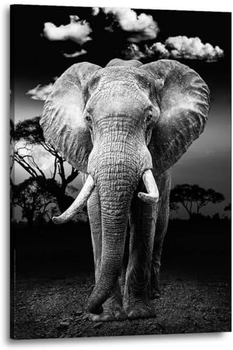 Kunstgestalten24 Leinwandbild Elefant Natur Schwarz Weiss Wandbild Kunstdruck Wanddeko XXL Wandekoration Gemälde Deko Bilder Modern Art Bild Kunstwerk Canvas Hochwertiger Kunstdruck