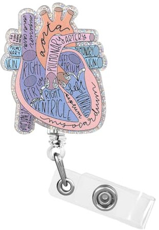 Dimeho Porte-badge cardiaque rétractable en forme de cœur avec clip pour carte d'identité anatomie drôle porte-étiquette de nom d'infirmière pinces pour badge d'allaitement pédiatrique pour médecin