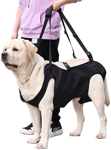 Hundeliftgeschirr, Haustierunterstützung Hund Lift Support für Hunde, Rehabilitation Geschirr Mobilität Sling für Alt, Gelenkverletzungen, Arthritis, Stabilitätsverlust Hunde, Schwarz (M)