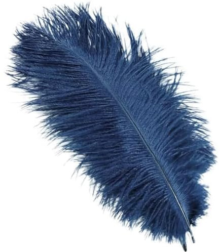 10 Stück 25-30cm Natürliche Straußenfedern,Strauß Feder zum Basteln,Bastel Federn für DIY Traumfänger Zubehör,Heimdekoration,KostüMe,Tischdeko Hochzeit Party Fest Hüte Kleidung Dekoration,Navy Blau