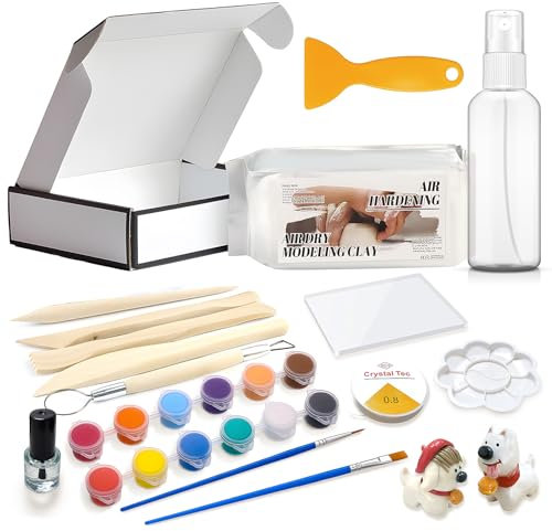 Allony Kit de Arcilla Secado al Aire, Kit Ceramica en Casa, Pottery Kit con Arcilla Secado al Aire, Barniz Arcilla, Herramientas Enriquecidas, Pigmento, Cepillar, Sé Creativo e Interesante, 10piezas