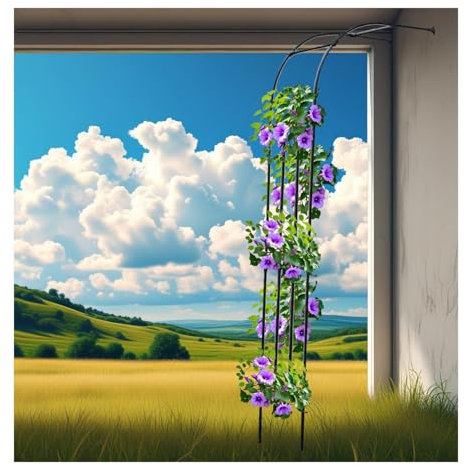 Compact Garden Arbor For Climbing Vines,Half Sided Arch Against The Wall,clematis,luffa,string Lights,Metal Trellis Archway For Courtyard,Patio,porch,the Entrance Of Outdoor,Black(220x240x40cm)