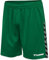 Hummel Jungen Hmlauthentic Kids Poly Shorts, EVERGREEN, 176 EU