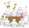 Hedume Glas-Blumenvasen-Set, klein, klare Glasvasen, dekorative rustikale Blumenvasen, Mini-Tisch-Blumenvase für Heimdekoration, Tafelaufsätze, Veranstaltungen, Vintage-Look, 10er-Set