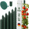 TTL GARDEN Rankstäbe 10er Set 120cm x 11mm Ø grün - Rankhilfe Pflanzstäbe + Klettband - Stahl rostfrei kunststoffbeschichtet Pflanzenstütze Blumenstütze für Tomaten Paprika Gurken Bohnen & Blumen