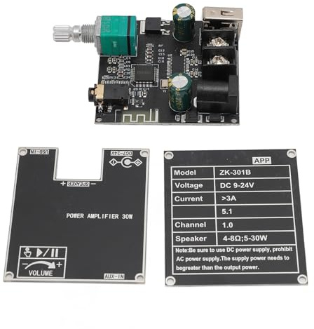 Carte D'amplificateur Bluetooth 5.1, Carte D'ampli Audio Mono DC 9-24 V, Module D'ampli Numérique à 3 Méthodes D'entrée, pour Haut-parleurs Passifs Domestiques