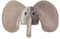 NET TOYS Lustige Elefanten-Mütze mit Riesenohren - Grau KW 57cm - Tierische Unisex-Kopfbedeckung Tiermütze Elefant