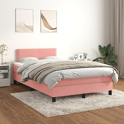 Willood Boxspringbett mit Matratze Rosa 120x200 cm SamtFlach mit Nägeln