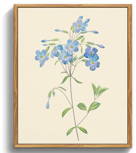 MHARTK66 Vintage Botanisch Leinwand Bilder mit Rahmen Holz, 30x40 cm Wandbilder Wohnzimmer Blaue Wildblumen Bild Aesthetic, Blumen Illustration Wanddeko Schlafzimmer Badezimmer Büro Zimmer
