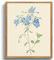 MHARTK66 Vintage Botanisch Leinwand Bilder mit Rahmen Holz, 30x40 cm Wandbilder Wohnzimmer Blaue Wildblumen Bild Aesthetic, Blumen Illustration Wanddeko Schlafzimmer Badezimmer Büro Zimmer