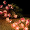 LED Lichterkette Kirschblüten Deko,2M 20LED Kirschblüten Lichterkette Wand,Lichterkette Fenster Innen,LED Lichterkette Batteriebetrieben,Lichterkette Innen Außen für Garten Hochzeits Zimmer Deko ﻿