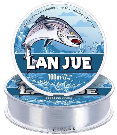 2Pcs 100M Fishing Line, 0.45mm Nylon Fishing Wire Clear Fishing Line Invisible String Strong Monofilament Line 26 LB for Hanging Crafts Jewelry Making