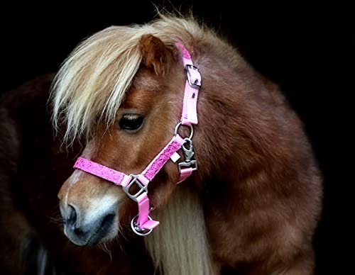 Holly Halfter Glitzer Nylonhalfter Minishetty Mini Shetty Fohlen Shetty weiß Lila Pink Rosa Rot Tysons ZART (S, Rosa)