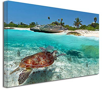 Declina Großformat, Kunstdruck auf Leinwand, Dekoration für Wohnzimmer, modernes Leinwand, Fototapel, Leinwand, Motiv: Schildkröte, Marineblau 50 x 30 cm, Leinen, 50x30 cm
