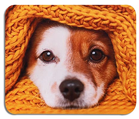 AOKSUNOVA Mauspad Lustig Klein Mousepad Design mit Motiv 240 x 200 mm