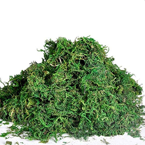 Best Artificial Reindeer Moss For Lining Plant Flower Garland Christmas Decor Trees (100g)