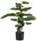 Kunstpflanze Bonsai, Höhe ca. 90 cm