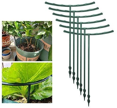 æ— Lot de 12 tuteurs semi-circulaires pour plantes en pot, treillis grimpant pour plante grimpante Monstera, Serpent et Rose