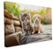 druck.de Keilrahmen - Katzen und Hunde Motive - Wandbild auf Künstler Leinwand – Hochwertiger Kunstdruck - 2cm Holzrahmen mit 280g Canvas - Zwei Freunde unterwegs, 30x20 cm - Quer