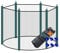 walexo Trampolin Sicherheitsnetz für 6 Stangensysteme (366 cm Ø, Schwarz/Grün)