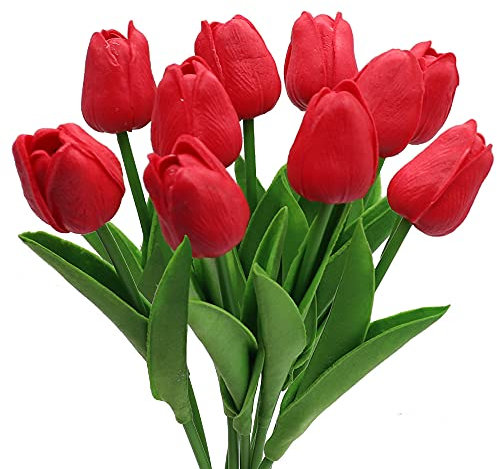 ACSWBRT TIQ0 Die Tulpe simuliert die rote Blume, Acryl