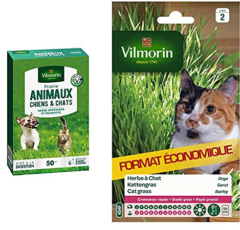 Vilmorin 4461212 Prairie Animaux Chiens et Chats, Vert, 5.80 x 14.5 x 22 cm & Vilmorin 5876839 Herbe à Chat orge, Vert, 11 x 1.5 x 19 cm