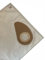 NILFISK BUDDY II VACUUM CLEANER COMPATIBLE HOOVER BAGS 81943048 PK4