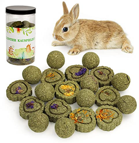 20 Stück Kaninchen Spielzeug, Meerschweinchen Kauspielzeug Timothy Heukuchen Kleintiere Zahnpflege Timothy Heu Kauball Snacks für Häschen Chinchilla Meerschweinchen Rennmäuse Hamster