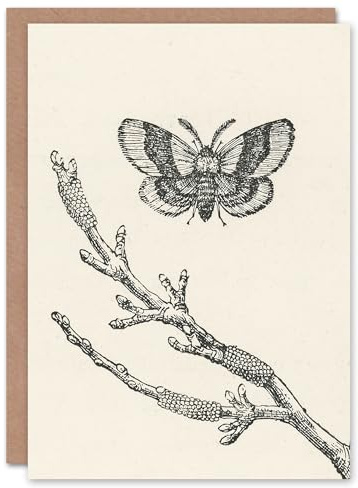 Artery8 John Wright Art Card Fruit Growers Guide Lackey Moth