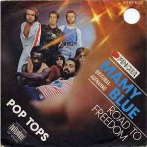 5X Internationale Hits-Pop Tops/Pointer Sisters/Promises/Quarterflash/Ram Jam-Mamy Blue(71)/Should I Do It(81)/Ooh, Baby I Like It((79)/Harden My Heart((81)/Black Betty(77) s)
