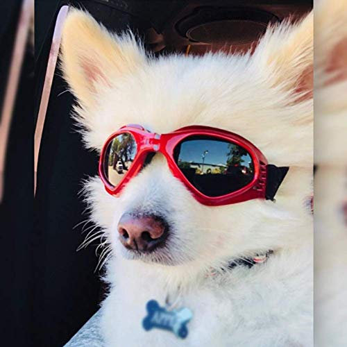 PETLESO Hundebrille Stilvolle Haustier Sonnenbrille Anti-Beschlag Wasserdicht Winddicht Augenschutz Anti-UV Schutzbrille für Kleine/Mittelgroße Hunde, Rot
