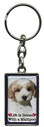MALTIPOO (MALTESE/POODLE)PET KEYRING