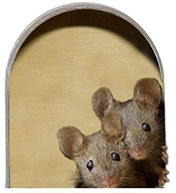 Maus Loch Aufkleber 5pcs Wand Kunst Aufkleber Wandsticker Cartoon 3D Maus Loch Aufkleber Sockelleiste Wandtattoo für Kinderzimmer Wohnzimmer Schlafzimmer