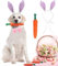 CEASELESLY Osterhunde-Stirnbänder,Hund Osterhase Kostüm,Karotte Haarband,Puppy Karotte Seil Spielzeug Geflochtene,Verstellbar Haustier Ostern Party Kostüm Zubehör für Hund Katze Welpen