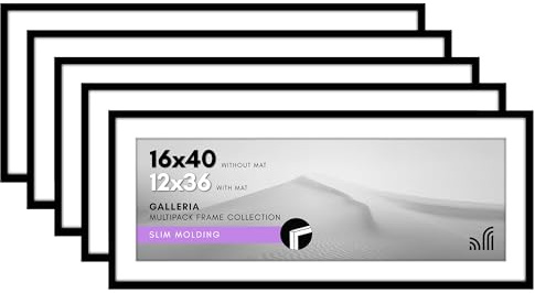 Americanflat 16x40 Picture Frame Set of 5 - Black, Polished Plexiglass, Modern Classic Style - Wall Mount, Horizontal/Vertical Orientation