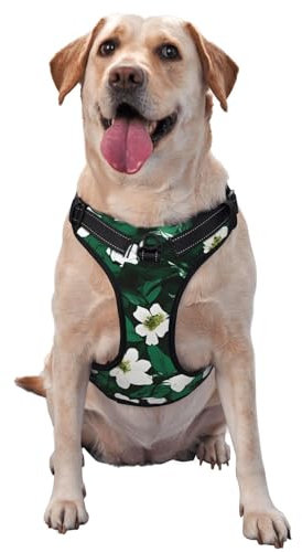 Hunter Hundegeschirr/Hundegeschirr, mit Blumenmuster, für draußen, Reisen, Spaziergänge mit Hunden