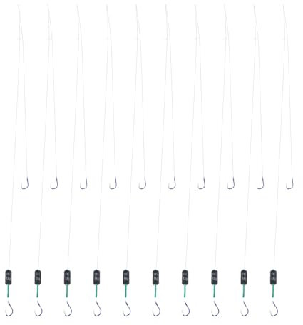 SG Store 10x Double Fish Hooks with 3.0 g Weight, 6# Fishing Hooks, Fishing Weight 0.5-1KG, Pre Tied Small Fishing Hook with Line